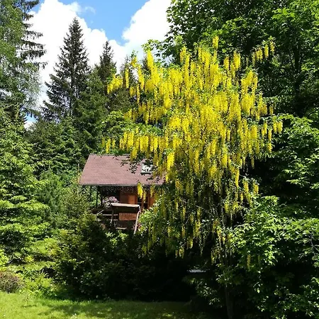Sport Vysocina 诺夫梅斯托纳马瑞夫