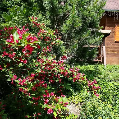 Sport Vysocina * Nove Mesto na Morave